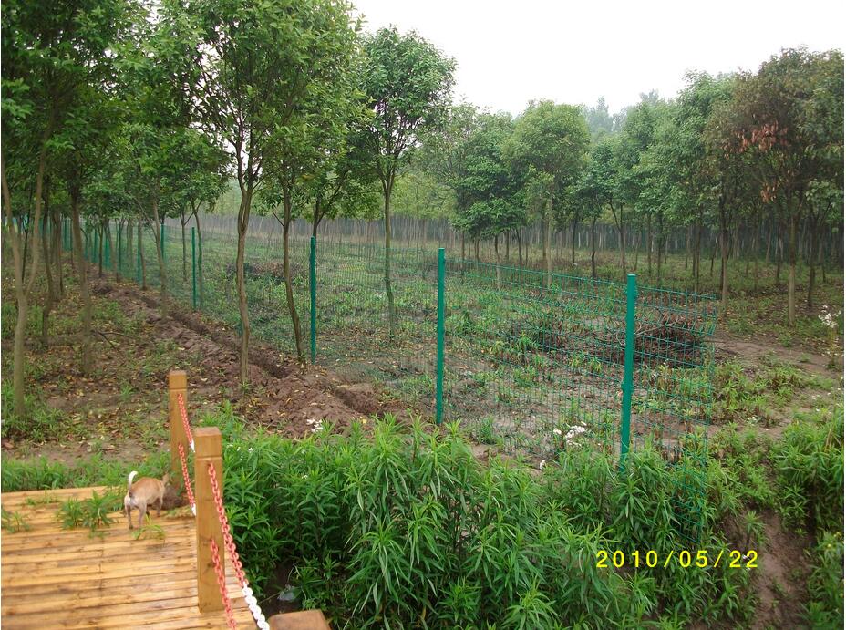 <b>問：種植園防盜防爬（pá）圍網選（xuǎn）哪種好</b>