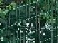 <b>武漢道路護欄​的種類有哪些？</b>