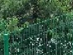 <b>哪些護欄網適合（hé）做武漢圍欄？</b>